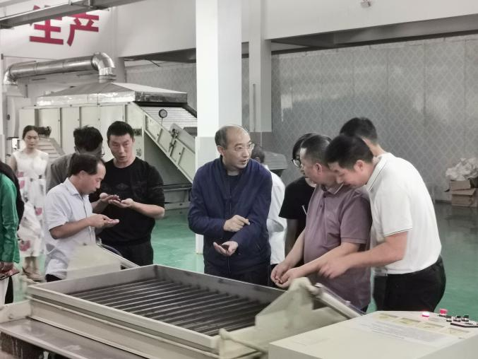 2f1778b72629576656d41c329424192