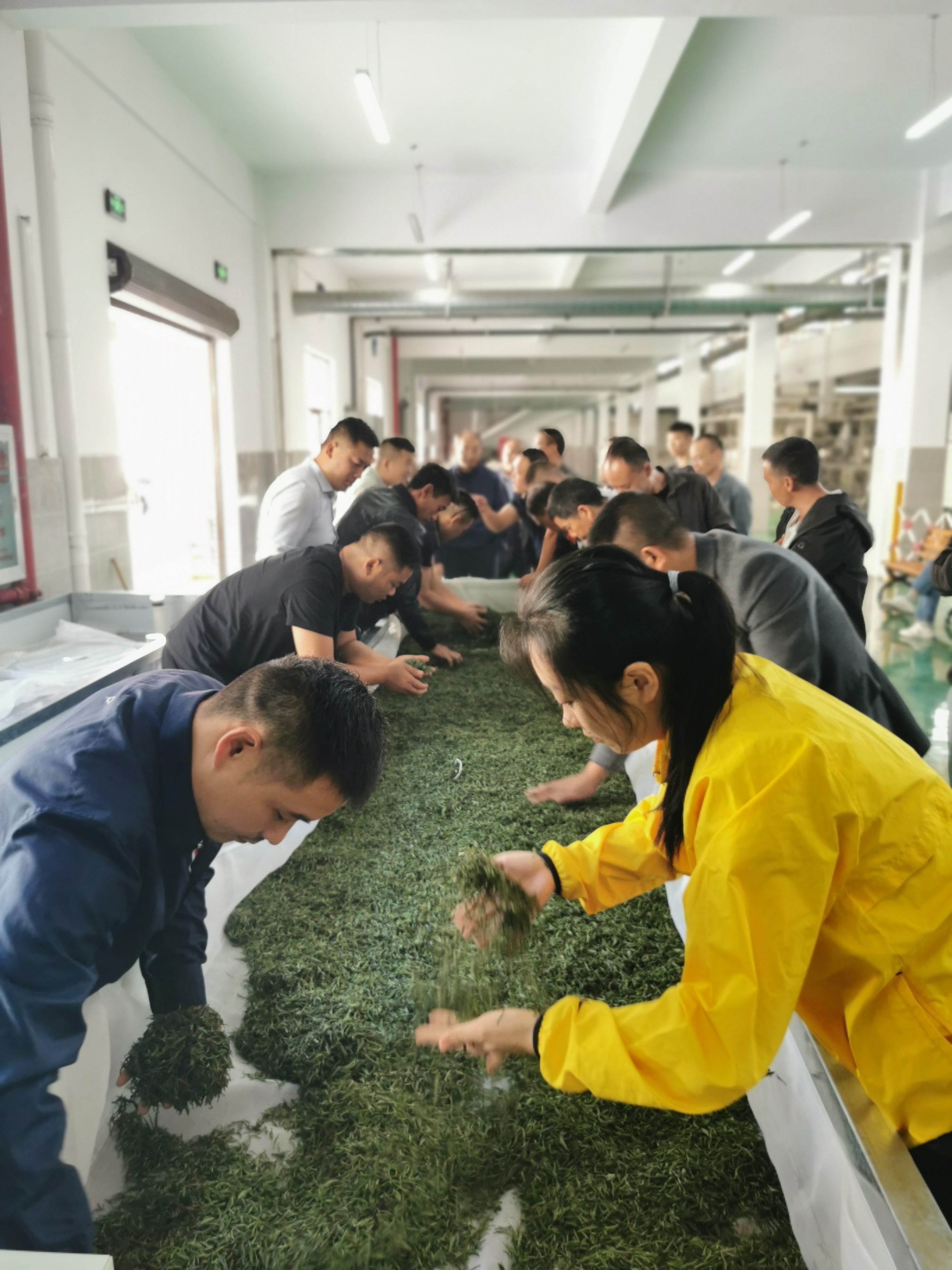 微信图片_20241022143813